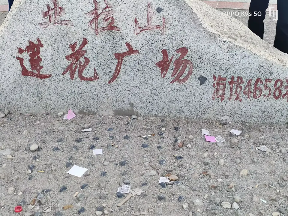 业拉山莲花广场地标